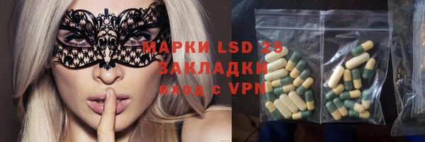 дмт Дмитриев