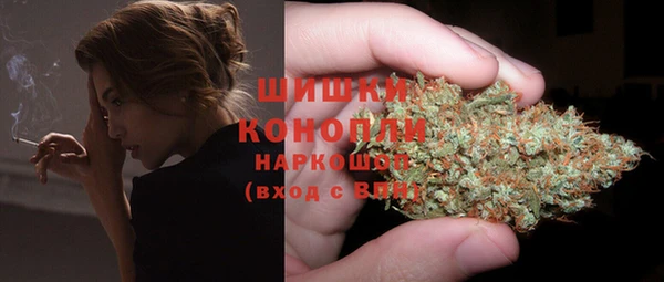 дмт Дмитриев