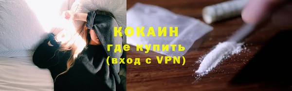 дмт Дмитриев