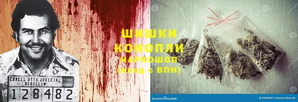 дмт Дмитриев