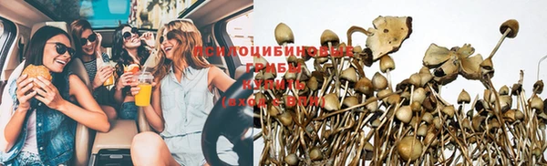 дмт Дмитриев