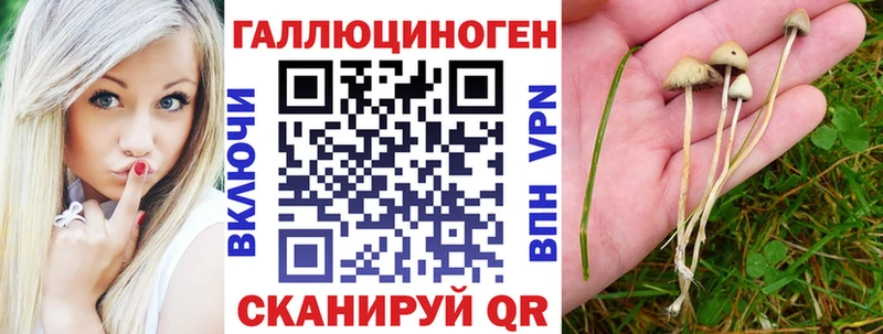 Галлюциногенные грибы GOLDEN TEACHER  Новоржев 
