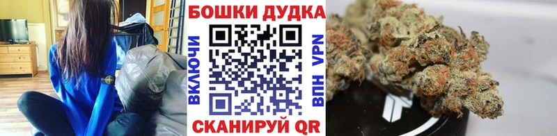 мега как войти  Новоржев  МАРИХУАНА индика  сколько стоит 